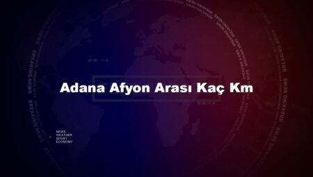 Adana Afyon Arası Kaç Km