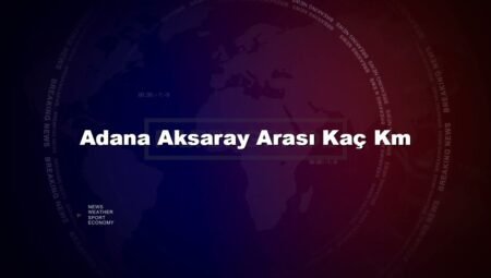 Adana Aksaray Arası Kaç Km