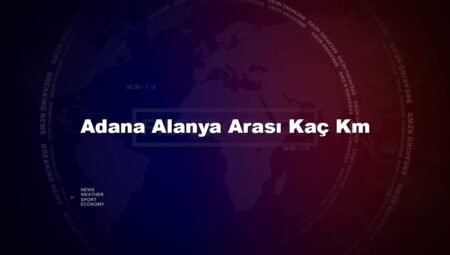 Adana Alanya Arası Kaç Km