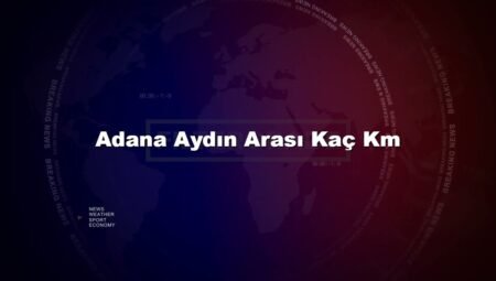 Adana Aydın Arası Kaç Km