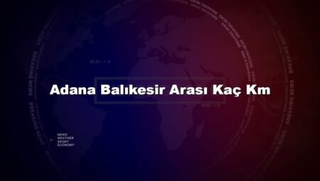 Adana Balıkesir Arası Kaç Km