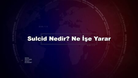Sulcid Nedir? Ne İşe Yarar